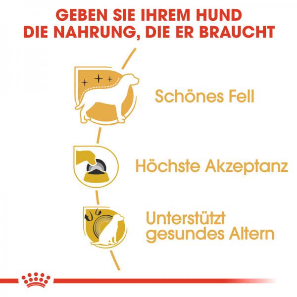 ROYAL CANIN Yorkshire Terrier Adult Hundefutter trocken
