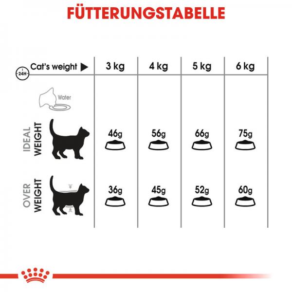 ROYAL CANIN Oral Care Katzenfutter trocken für gesunde Zähne