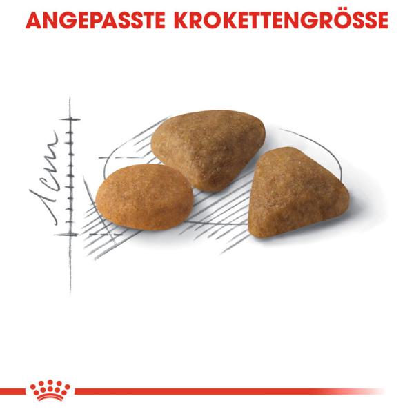 ROYAL CANIN SAVOUR EXIGENT Trockenfutter für wählerische Katzen