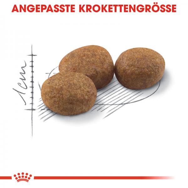 ROYAL CANIN STERILISED Trockenfutter für kastrierte Katzen