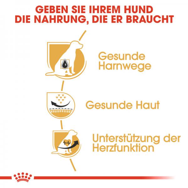 ROYAL CANIN Dalmatian Adult Hundefutter trocken für Dalmatiner