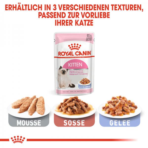 Royal Canin Kitten in Gelee